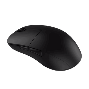 Endgame Gear XM2W 4K Wireless Mouse