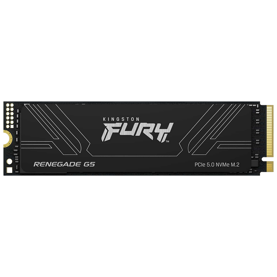 2TB KINGSTON FURY Renegade G5