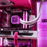 X50 ROSE