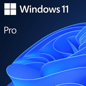 WINDOWS 11 PRO