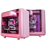 X50 ROSE